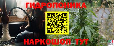 прущие грибы Абинск